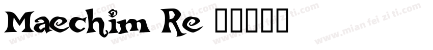 Maechim Re字体转换
